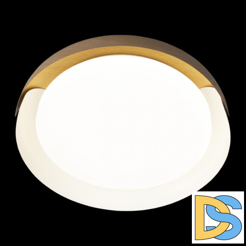 Потолочный светильник Loft IT Coin 10198 White