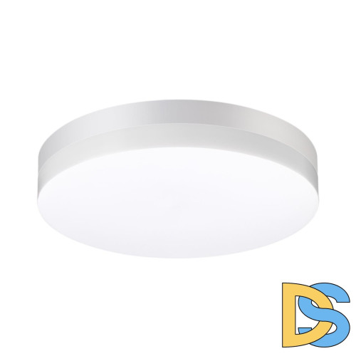 Уличный настенно-потолочный светильник Novotech Street 358885