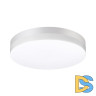Уличный настенно-потолочный светильник Novotech Street 358885