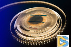 Светодиодная лента DesignLed DSG298-24-NW-33 000526