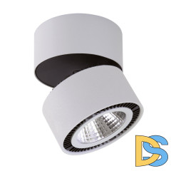 Потолочный светодиодный светильник Lightstar Forte Muro 213830