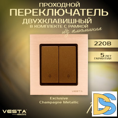 Проходной двухклавишный переключатель в рамке из алюминия Vesta-Electric Exclusive Champagne Metallic