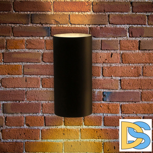 Уличный настенный светильник Arte Lamp Alcyone A6109AL-2BK