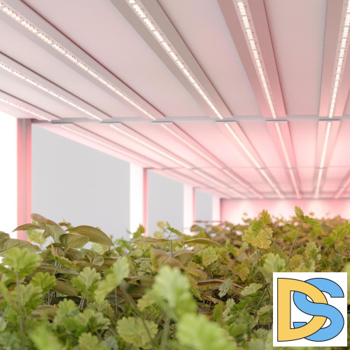 Светодиодная лента Arlight FITOLUX-A66-8mm 24V Red660 (11 W/m, IP20, 5m) 045214