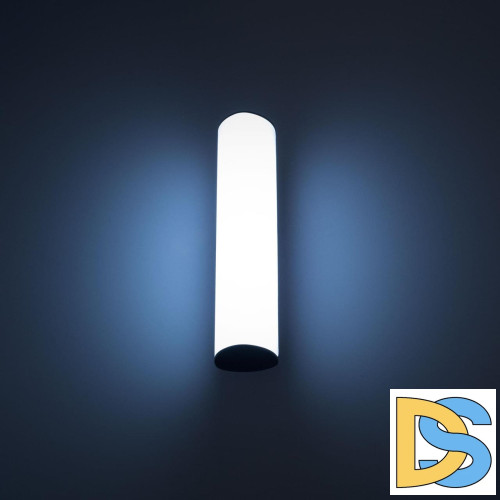 Уличный настенный светодиодный светильник Citilux CLU0007