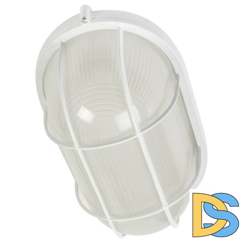 Настенно-потолочный светильник ЭРА НБП 04-60-002 Б0048425