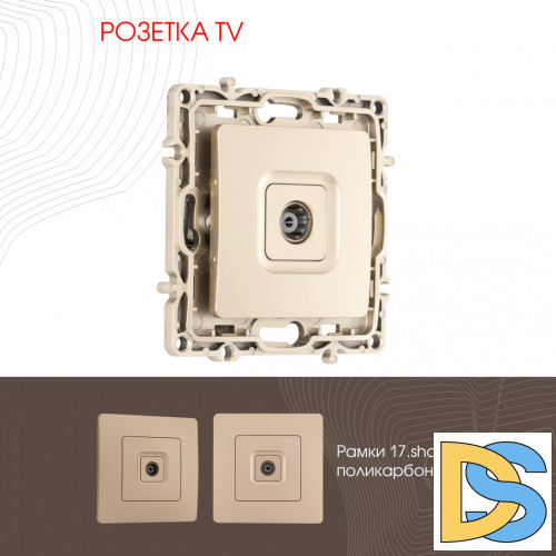 Розетка TV Arte Milano 217.43-1.shampan