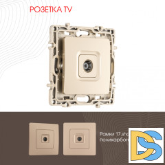 Розетка TV Arte Milano 217.43-1.shampan