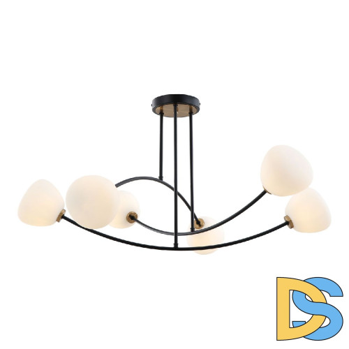 Потолочная люстра Lussole Bryan LSP-8936