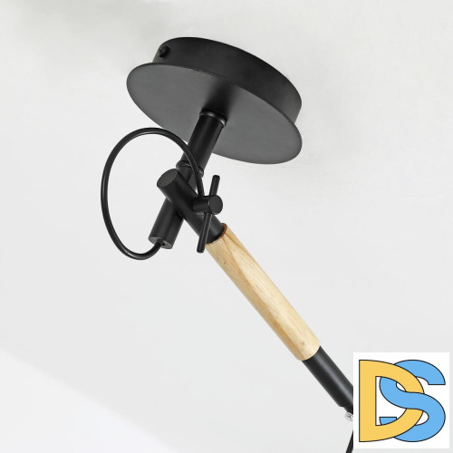 Настенно-потолочный светильник F-Promo Eureka 3006-1P