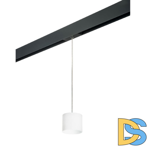 Трековый однофазный светильник Lightstar Rullo (213486+595887) PRORP3486