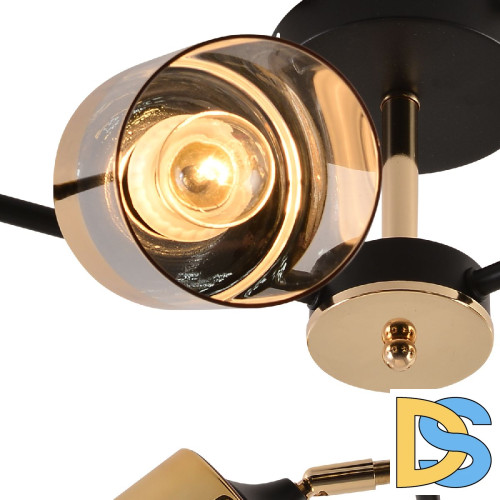 Люстра на штанге Reluce 01555-3.3-06B BK+FGD