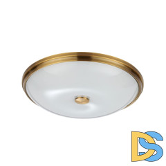 Настенно-потолочный светильник Odeon Light Pelow 4956/5