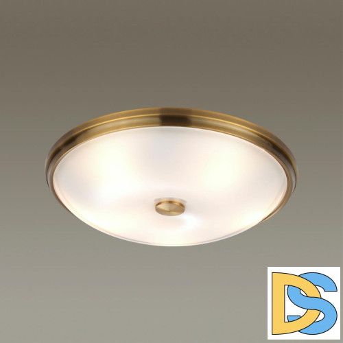 Настенно-потолочный светильник Odeon Light Pelow 4956/5