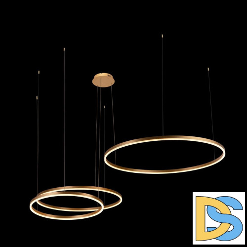 Подвесной светодиодный светильник Loft IT Ring 10017/3M