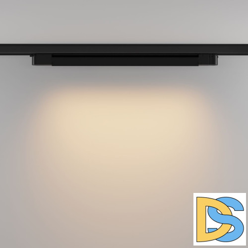 Трековый трехфазный светильник Maytoni Basis TR196-3-20W2.7K-B