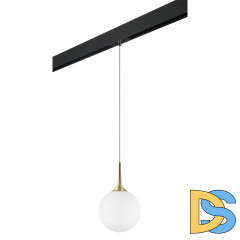 Трековый светильник Lightstar Globo PRO813032 (813032+595007)