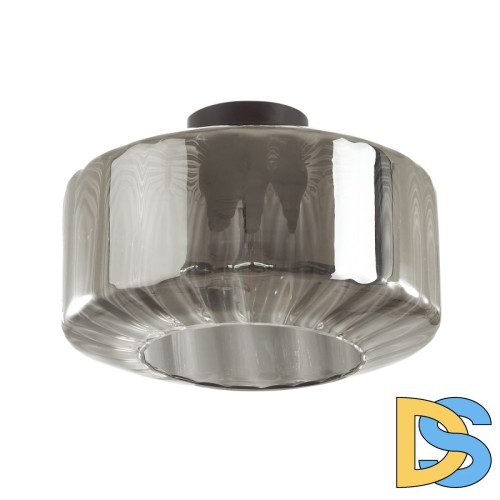 Потолочный светильник Odeon Light BINGA 4746/1C