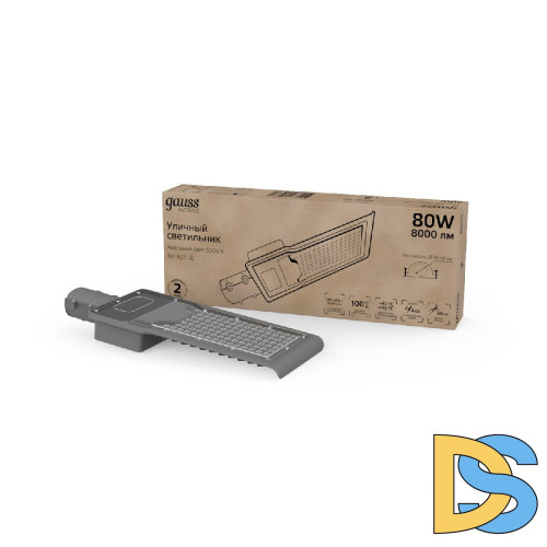 Уличный светодиодный консольный светильник Gauss Avenue 629536380