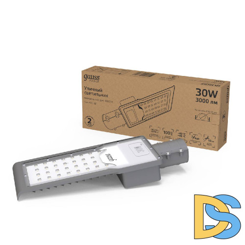 Уличный консольный светильник Gauss Avenue 629534230