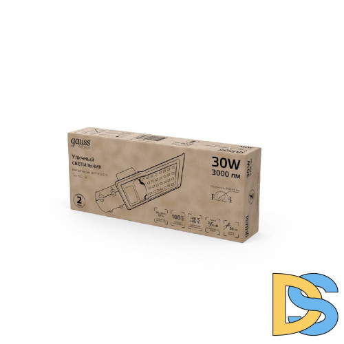 Уличный консольный светильник Gauss Avenue 629534230