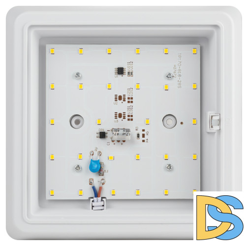 Настенно-потолочный светильник Эра SPB-302-2-4K-10 Б0055048