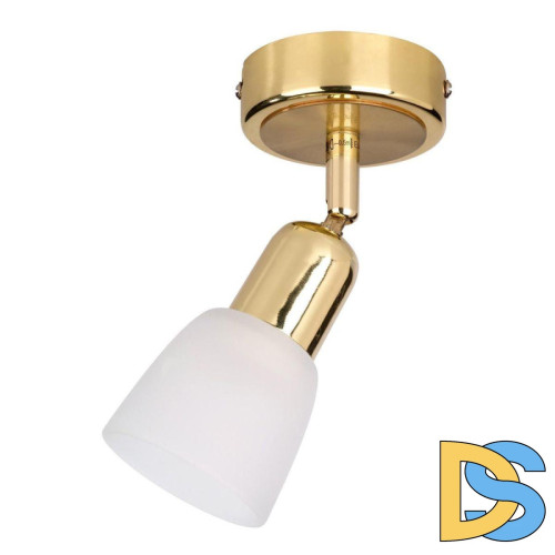 Спот Escada 5039 5039/1PA