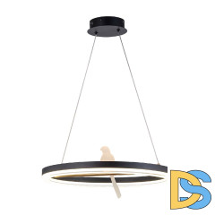 Подвесной светильник F-Promo Bardy 4654-1P