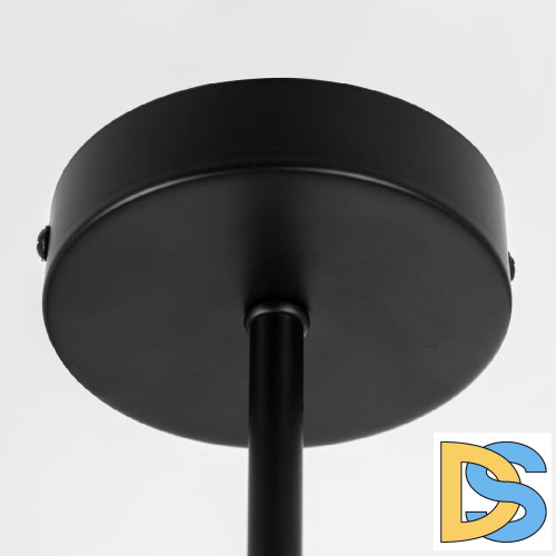 Люстра на штанге Citilux Fisher CL218163