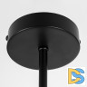 Люстра на штанге Citilux Fisher CL218163