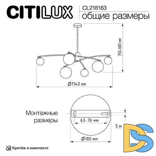 Люстра на штанге Citilux Fisher CL218163