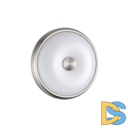 Настенно-потолочный светильник Odeon Light Pelow 4957/2