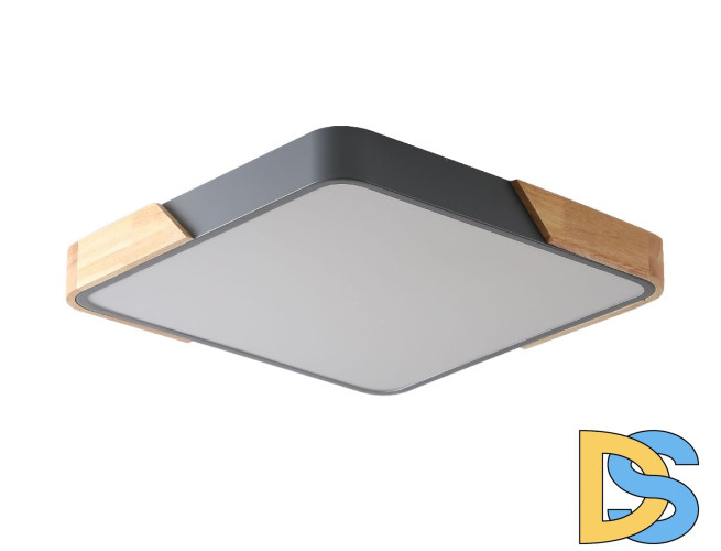 Потолочный светильник Zortes Alberro ZRS.01288.48