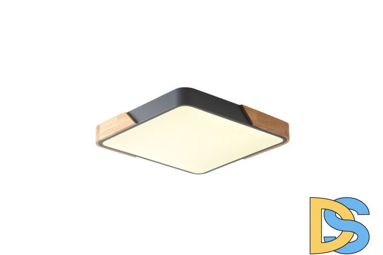 Потолочный светильник Zortes Alberro ZRS.01288.48