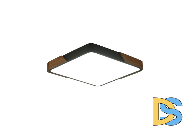 Потолочный светильник Zortes Alberro ZRS.01288.48