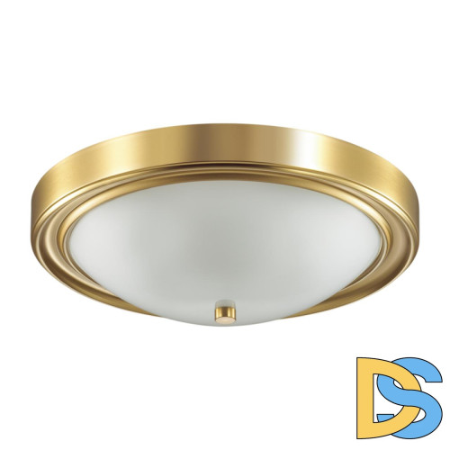 Настенно-потолочный светильник Lumion Vintage 5259/3C