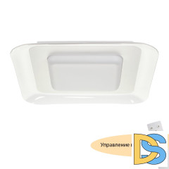 Потолочный светильник Myfar Sao MR9070-CL