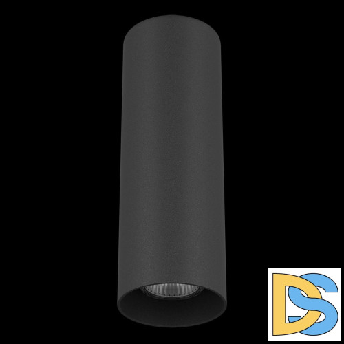 Потолочный светильник Lightstar Rullo 216497