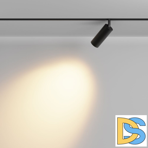 Трековый магнитный светильник Maytoni Focus Led TR032-2-12W2.7K-M-B