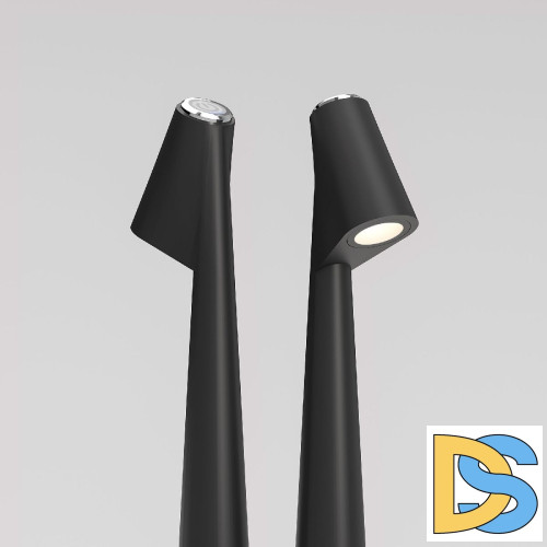 Настольная лампа Elektrostandard Elite 4690389208508 TL70250 a068070