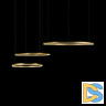 Подвесной светодиодный светильник Loft IT Ring 10017/3S
