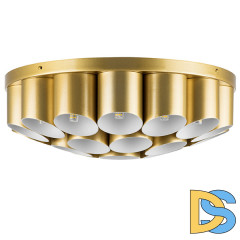 Потолочная люстра Lightstar Siena 720222