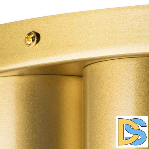 Потолочная люстра Lightstar Siena 720222