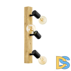 Спот Eglo Townshend 3 98113
