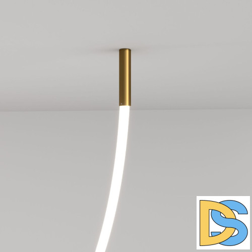 Крепления для гибкого неона Elektrostandard Full light FL 28120 латунь 4690389195914 a063434