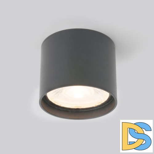 Уличный потолочный светильник Elektrostandard Light LED 4690389177019