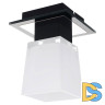Потолочный светильник Lussole Lente LSC-2507-01