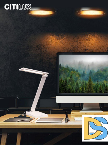 Настольная лампа Citilux Ньютон CL803080