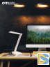 Настольная лампа Citilux Ньютон CL803080