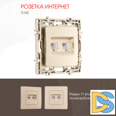 Розетка RJ45 Arte Milano 217.45-2.shampan